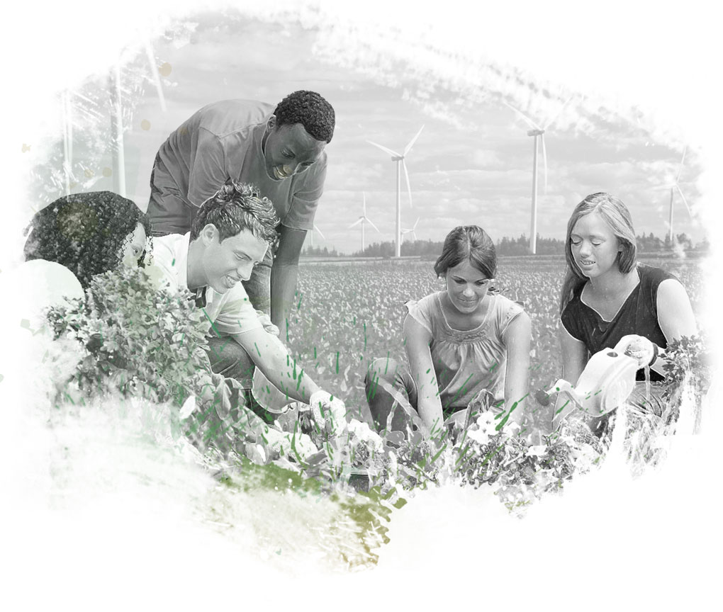 Advocacy - Environment Advocacy - Environment