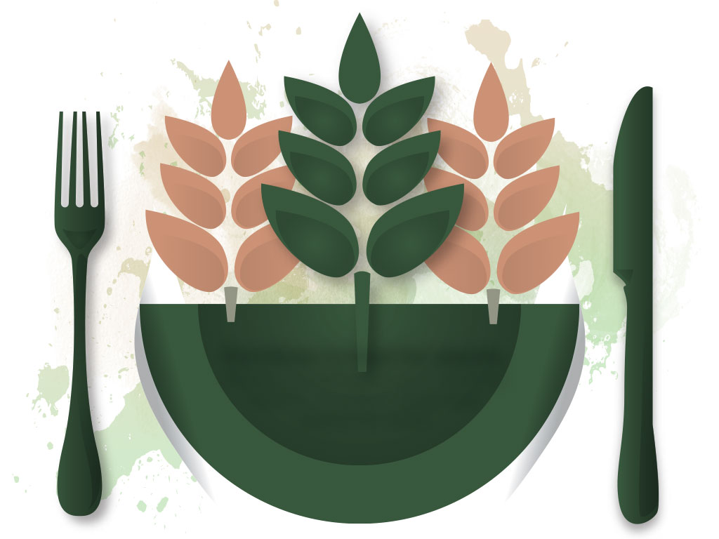 Les engrais sont des aliments pour les plantes. Les engrais sont des aliments pour les plantes.